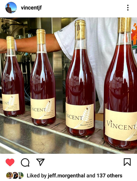 Light Red or Rosé? Why worry ! Vincent Pinot Gris Willamette Valley