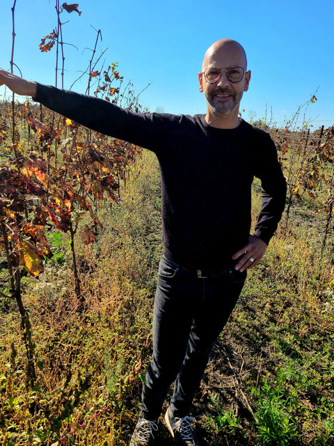 Bellone: The Great White Grape Of Lazio- Tomei "Fertile" Lazio IGT